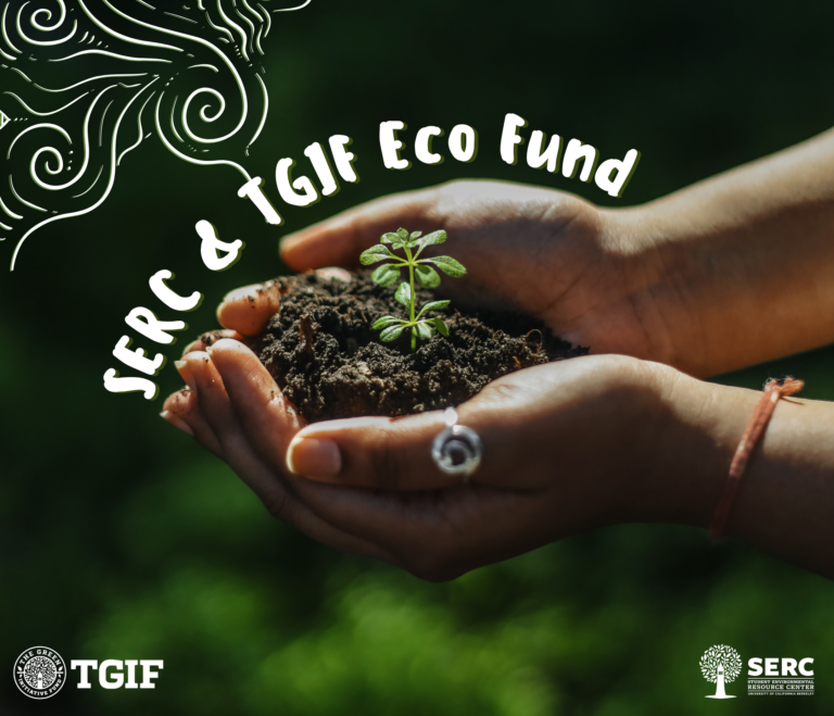 Hands holding a tiny plant in soil