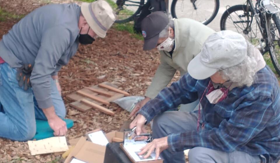 People planting and gardening
